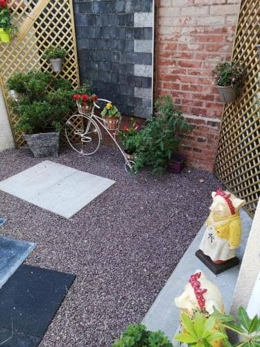 Le patio de brique, un vélo appuyé au mur et des plantes en pots